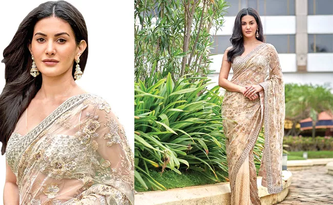 What Is The Price Of The Saree Worn By Amyra Dastur - Sakshi