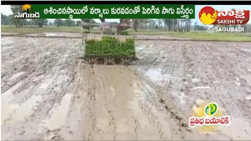  Labor Shortage Check with Paddy Plantation Machine