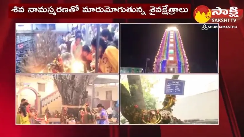 Karthika Masam Celebrations in AP