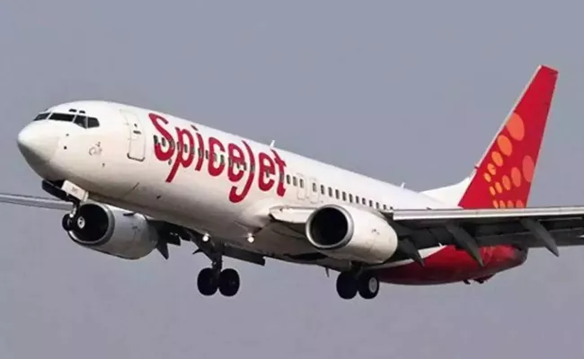 SpiceJet posts net profit of Rs 205 crore in Q1 - Sakshi