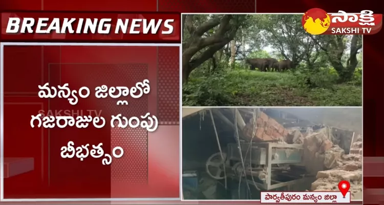 Elephants Hulchul In Parvathipuram Manyam District