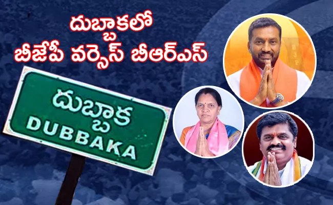 Medak: Who Will Next Incumbent Dubbak Constituency - Sakshi