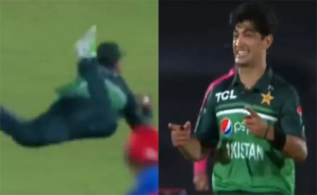 PAK VS AFG 1st ODI: Shadab Khan Takes Blinder Of Naseem Shah - Sakshi