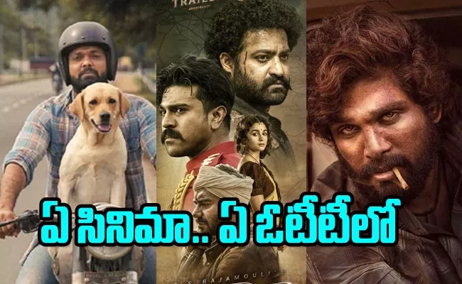 National Award Winning Movies OTT Streaming Details - Sakshi