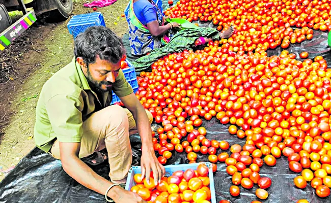 Promotion of cultivation of hybrid varieties - Sakshi