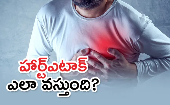 What Is The Reason Behind Rise In Heart Attacks Among Young People - Sakshi