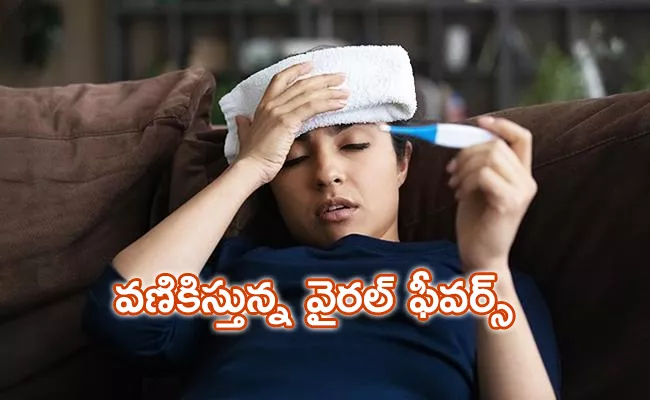 Dengue And Mosquitoes Increasing During Rainy Season - Sakshi