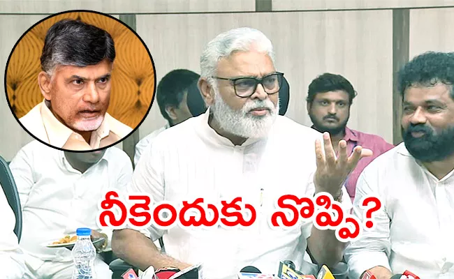 AP Minister Ambati Rambabu Slams CBN Over Irrigation Projects - Sakshi