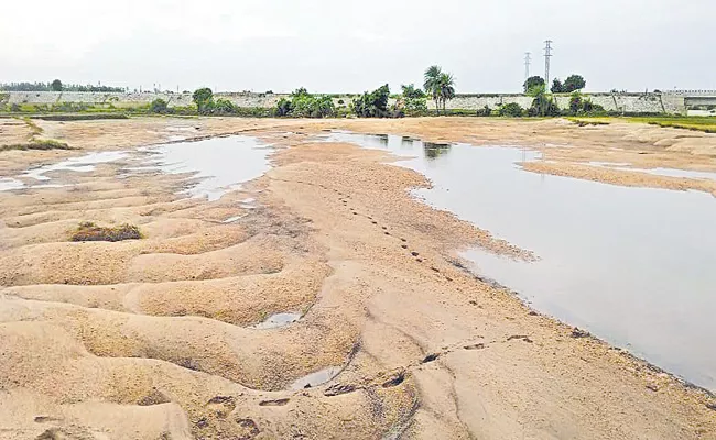 Agriculture in Godavari catchment area affected by heavy floods - Sakshi