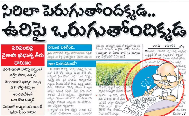 Increased rice cultivation in the state - Sakshi