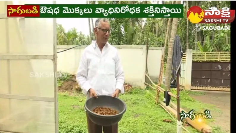 Eluru Farmer Get Huge Profits On Natural Farming 