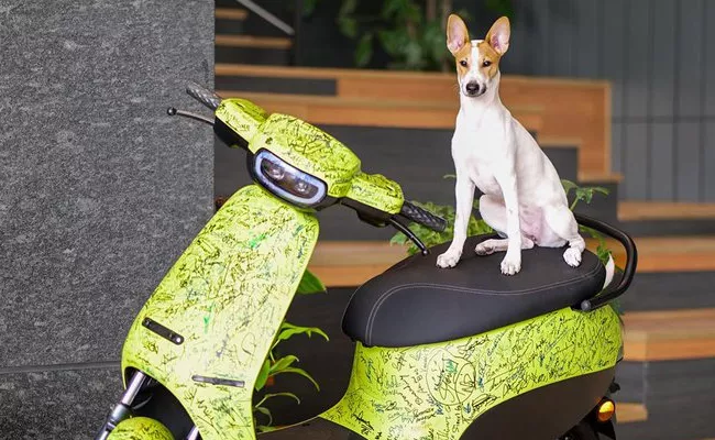 ola S1 Air first scooter with employees signatures and dog - Sakshi