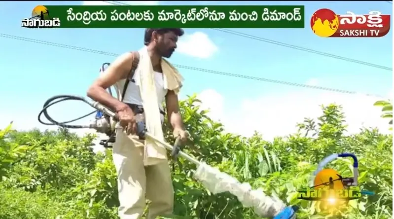 Organic Fruits & Vegetable Farming : Young Farmer Success Story