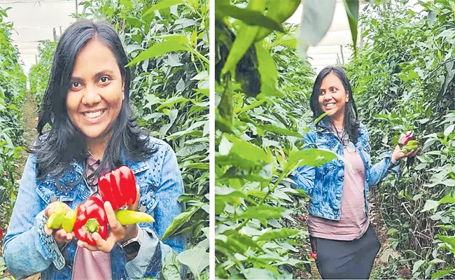 Komal Singh Educate Urban Garden In A Tiny City Apartment - Sakshi