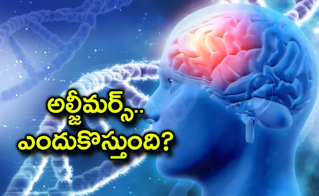 What Is Alzheimers Disease? How It Can Be Treated In Ayurveda - Sakshi