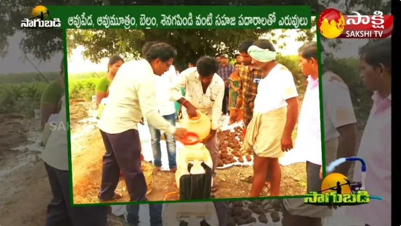 Natural Farming Benefiting Farmers In Kurnool Dist