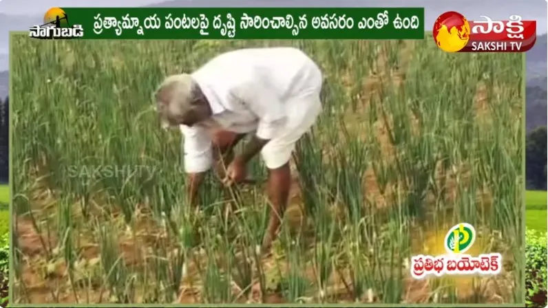 Integrated Farming by Tribals | Varieties of Vegetable Crops