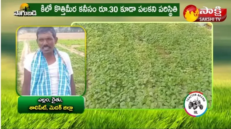 Coriander Farmer in Trouble