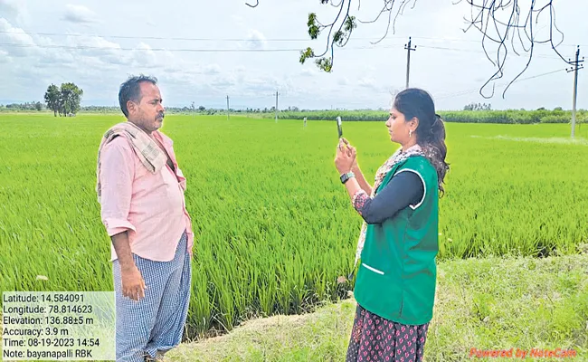 Agriculture Department speed up registration of e-crop in Kharif season - Sakshi