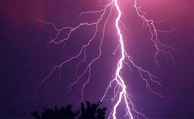 Significant increase in number of thunderstorms in Telangana - Sakshi