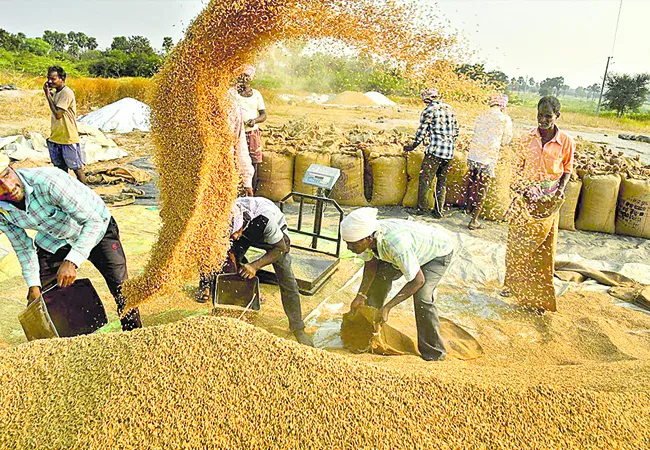 54 tenders for purchase of grain - Sakshi