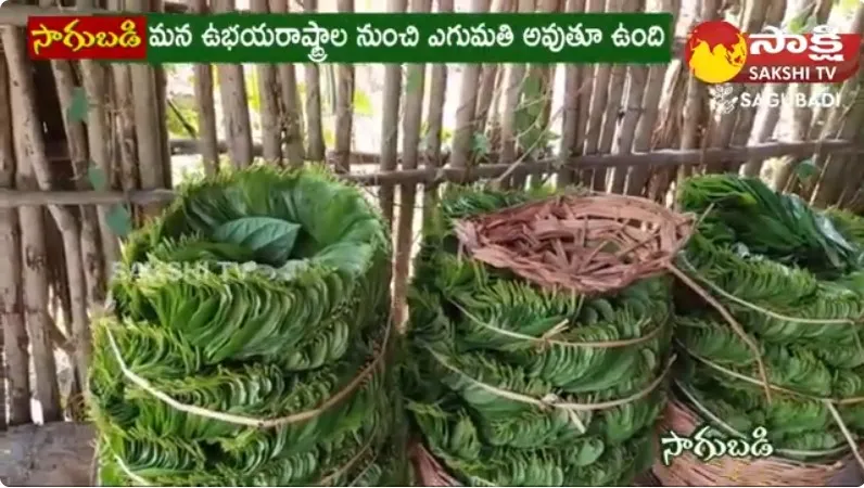 Farmer Success Story Of Tamalapaku