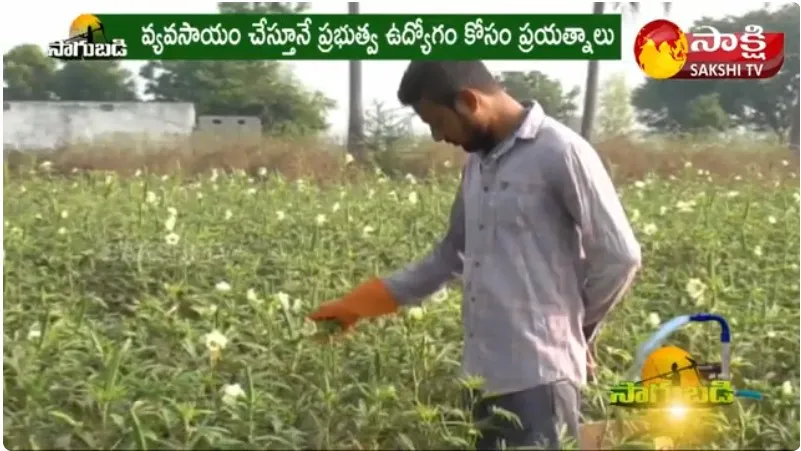 Success Story of B Tech Student Vegetable Farming