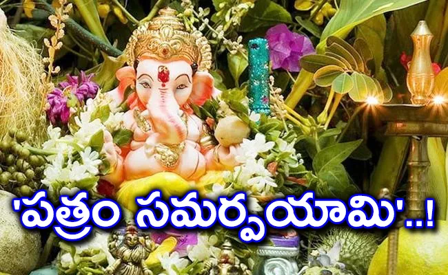 Ganesh Chaturthi Puja 21 Leaves To Worship Ganesh On Ganesh Chavithi - Sakshi