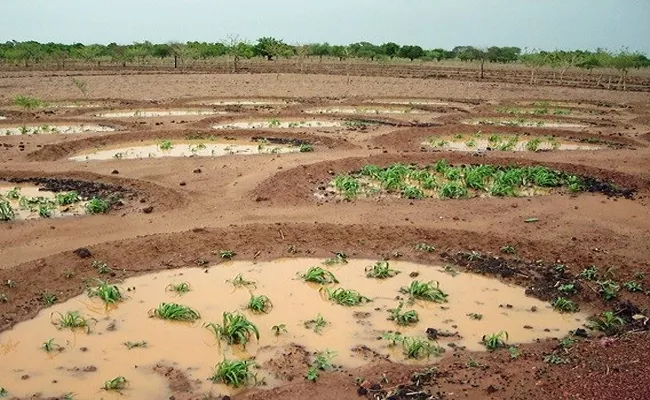 African Desert Country Farmers Digging Pits To Achieving Success - Sakshi