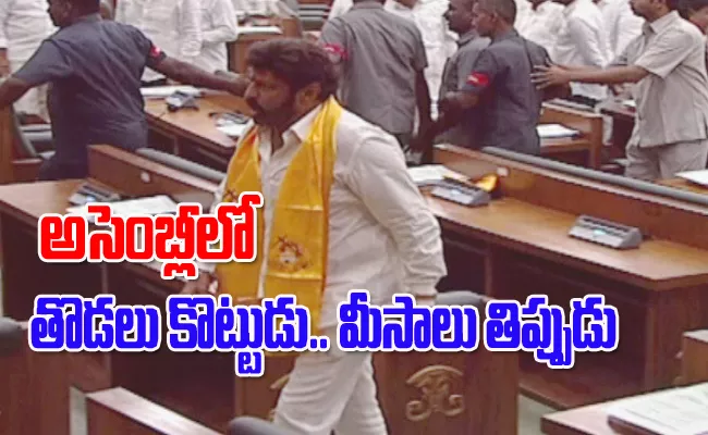 AP YSRCP Leaders Fires On Balakrishna Behaviour In Assembly - Sakshi