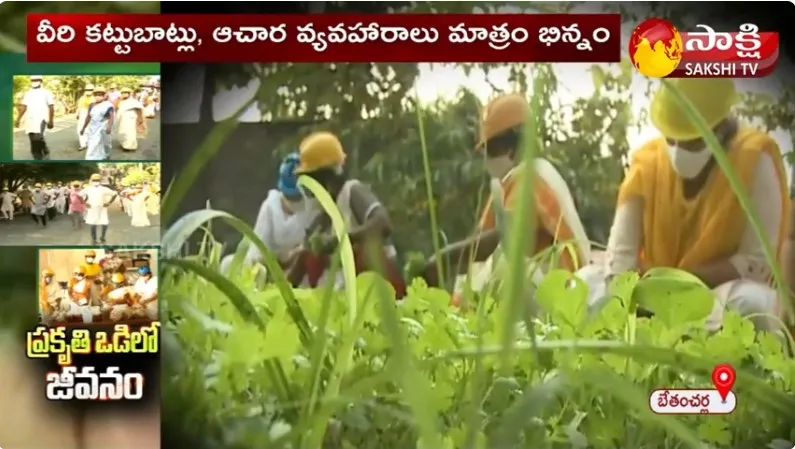 Colony People Enjoying The Nature's Life