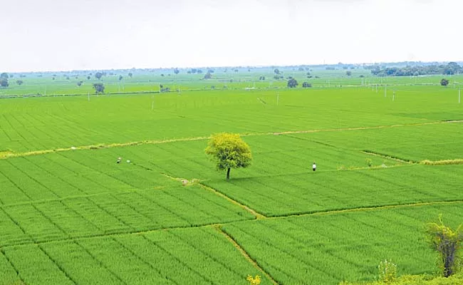 Cultivation of crops exceeds 58 lakh acres - Sakshi