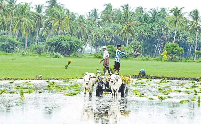 Most of the organic farming in the state - Sakshi