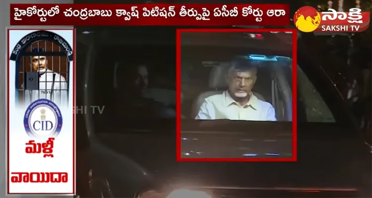 Judgement On Chandrababu Custody Petition