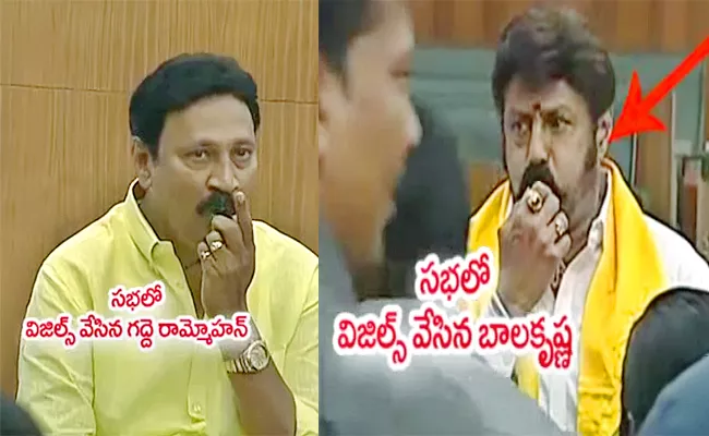 TDP MLA Nandamuri Bala Krishan Over Action In AP Assembly - Sakshi