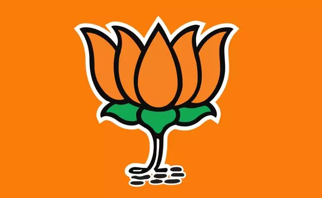 Schedule for successive BJP tours will be finalized soon - Sakshi