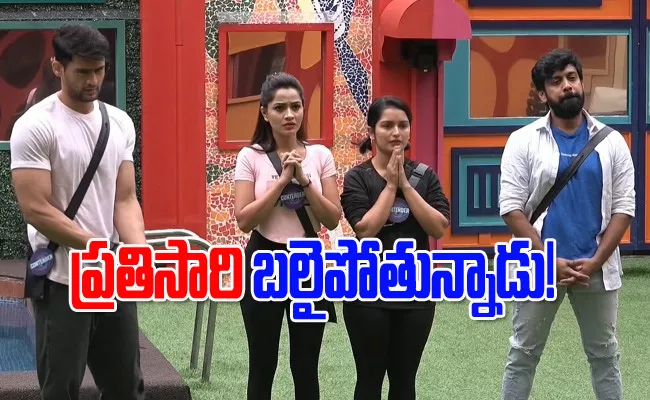  Bigg Boss 7 Telugu Day 19 Episode Highlights - Sakshi