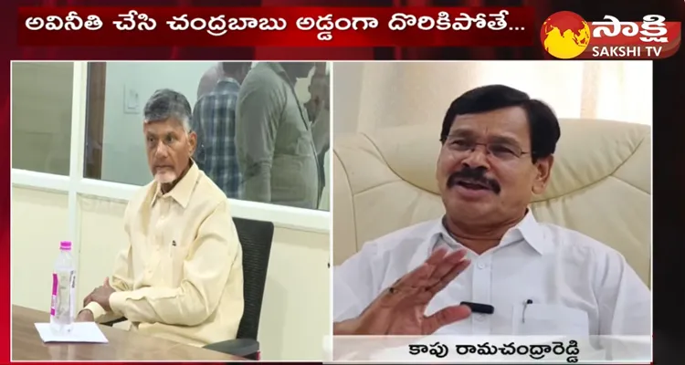 AP Govt Whip Kapu Ramachandra Reddy Comments Chandrababu Corruption 