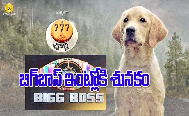 Bigg Boss Kannada 10: Charlie is First Contestant of BB - Sakshi