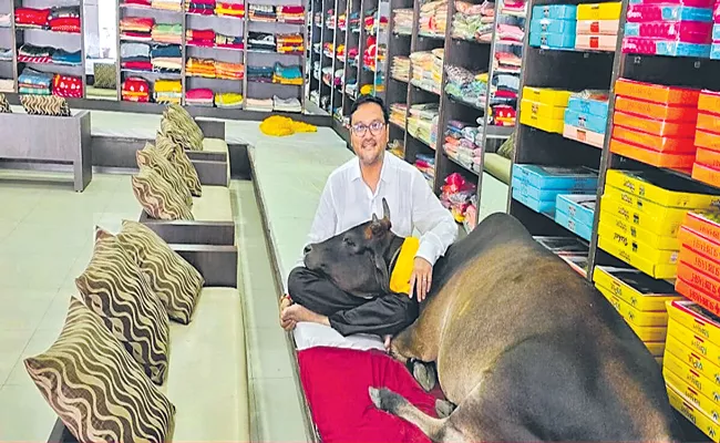 Cow Is A Daily Visitor At Raipur Cloth Store - Sakshi