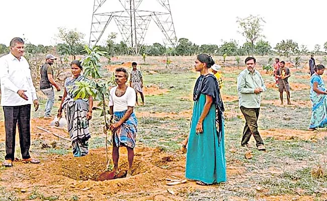 Farmers look towards orchards - Sakshi