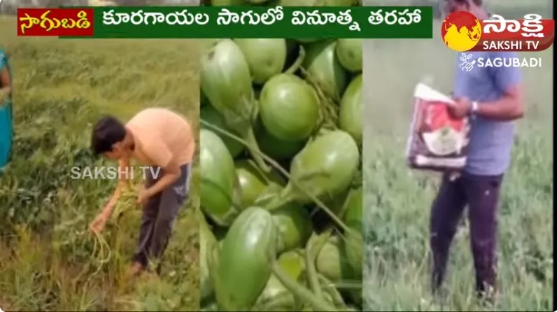 Vegetable Cultivation With Surf 