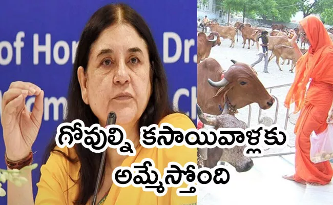 ISKCON Reacts On BJP MP Maneka Gandhi Sensational Allegations - Sakshi