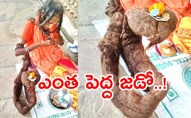 Elderly Woman Long Uncombed Hair Resembles A Cobra - Sakshi