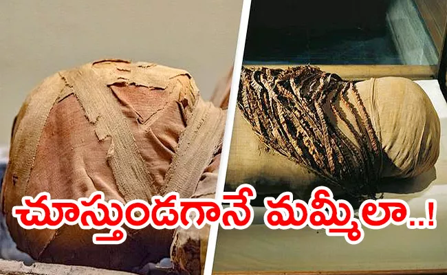 Man Found Completely Mummified Just 16 Days  - Sakshi