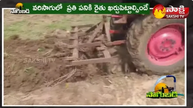 Veda Paddathilo Vari Sagu : Repalle Farmers Paddy Cultivation