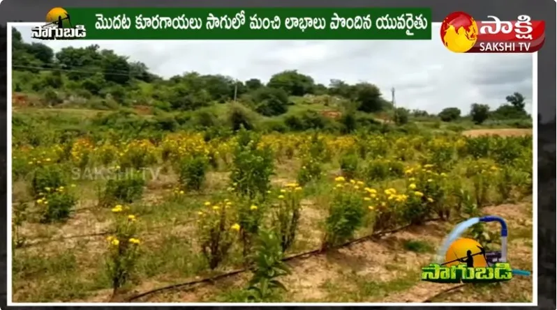 Young Farmer Happy With Marigold Cultivation