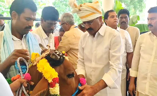 Shrikrishna Janmashtami Celebrations At SV Gosamrakshana Saala - Sakshi