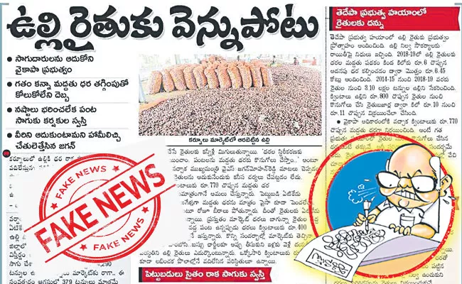 Construction of godowns for onion seeds and crop storage  - Sakshi