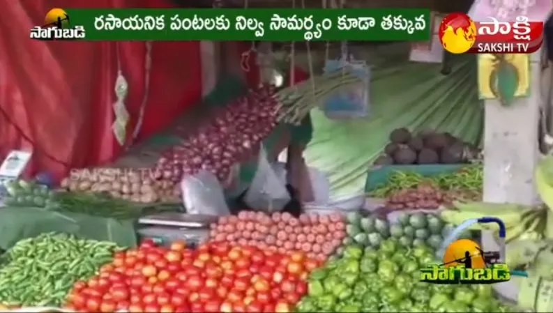 Kurnool Dist Farmer Balayya Organic Farming